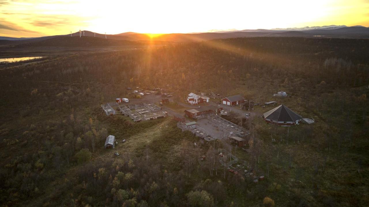 Husky Lodge Hostel Kiruna Zewnętrze zdjęcie