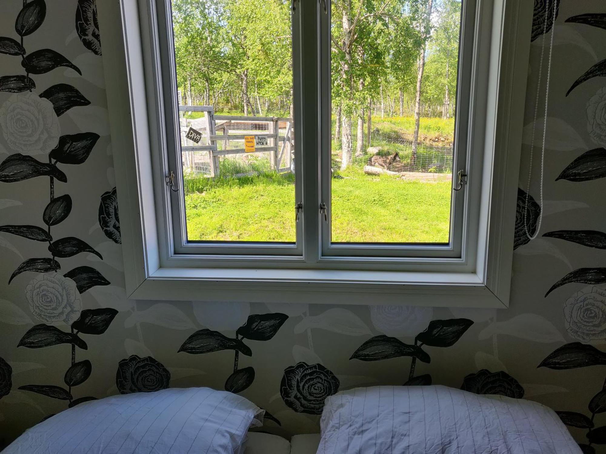 Husky Lodge Hostel Kiruna Pokój zdjęcie