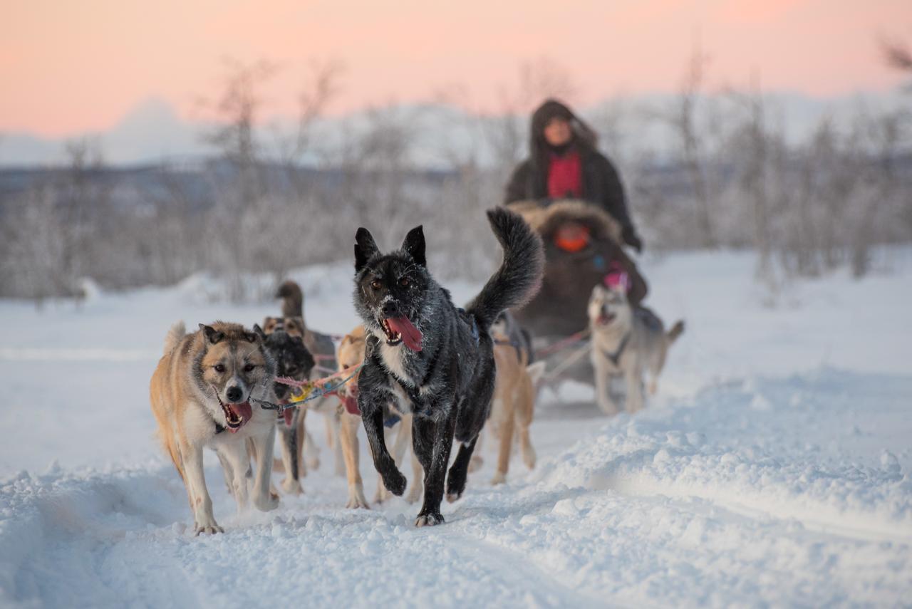 Husky Lodge Hostel Kiruna Zewnętrze zdjęcie