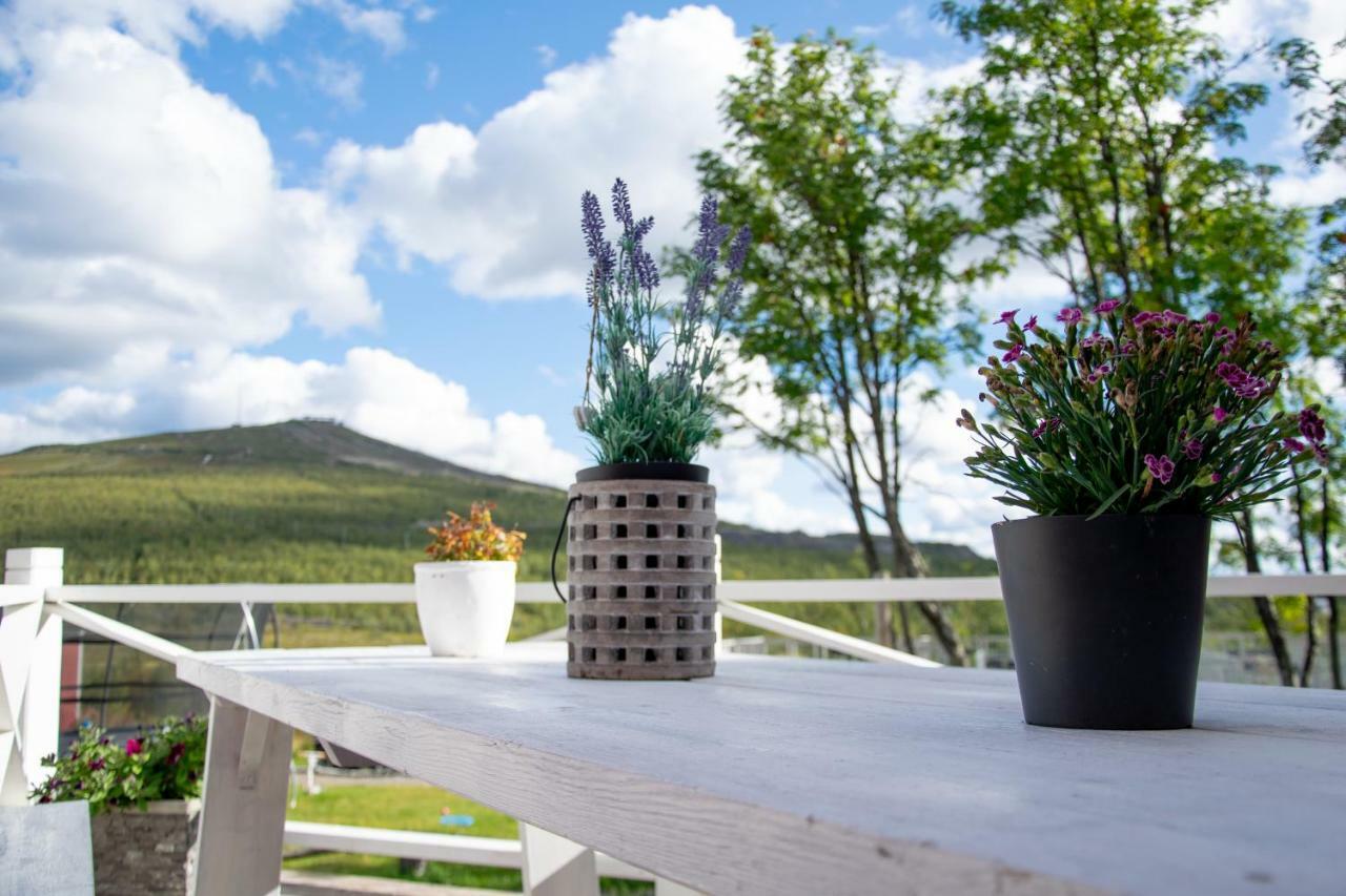 Husky Lodge Hostel Kiruna Zewnętrze zdjęcie